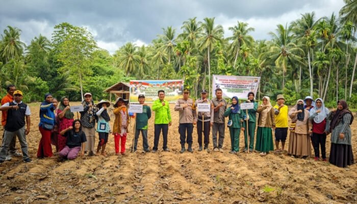 Dukung Program Ketahanan Pangan Nasional, Kapolsek Botumoito Bersinergi dengan Dinas Pertanian Boalemo