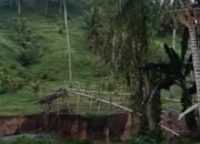 Tambang Ilegal di Tenilo ‘Kebal Hukum’, Aktivitas Mesin Dompeng Kembali Marak