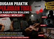 Jaringan Togel Diduga Beroperasi Sejak 2024 di Boalemo, Bandar Hingga Pengecer Disebut
