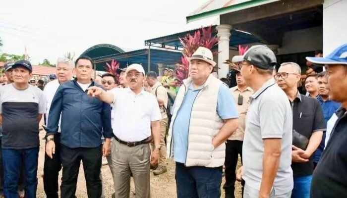 Panen Raya Pedet Bersama Rachmat Gobel, Pemda Boalemo Tingkatkan Ekonomi Peternak